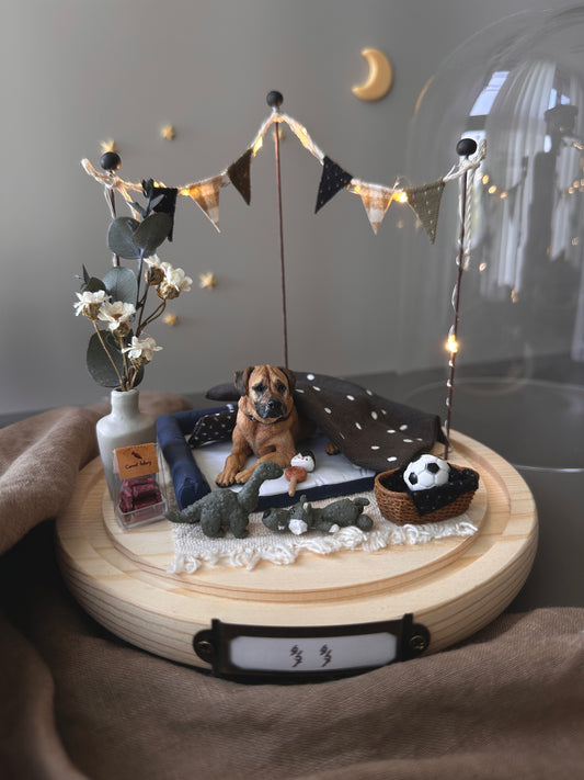 【客製全身寵物】中玻璃罩 月落屋 暖光小窩 寵物紀念 居家擺飾